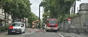 Ast in Oberleitung: Tramlinien 94 und 99 in Potsdam unterbrochen