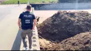 Ausgebüxtes Känguru in NRW stirbt nach Polizeieinsatz – Tierschützer kritisieren Rettungsversuch