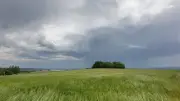 Baden-Württemberg: Hochsommerlich mit Gewittern und Starkregen