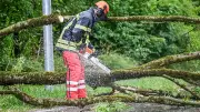 Baden-Württemberg: Unwetternacht bleibt ruhig – weniger Einsätze