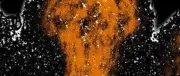 Bakterien schleudern Überlebenskapseln aus sterbenden Biofilmen