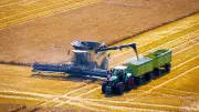 Bauernverband MV: Ernte gut, aber Rechnung geht nicht auf