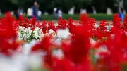 Bayern-Wetter: Wechselhaft mit Regen, dann bis 32 Grad am Wochenende