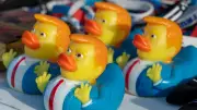 Bekenntnisse einer Lame Duck – Abschiedskolumne von Charlotte Morré