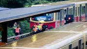 Berlin: S-Bahn prallt gegen Baum – Feuerwehr rückt zu 15 Einsätzen aus