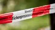 Berliner Bezirke erhalten mehr Hilfe bei Raupen-Bekämpfung