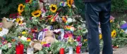 Berliner CSD-Attentat: Landesamt schaltet Hotline für Betroffene frei