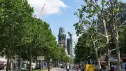 Berliner Senat: Auf gutem Weg zu einer Million Bäumen bis 2040