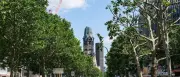 Berliner Senat verteidigt Baumoffensive gegen Kritik