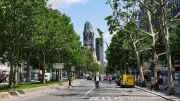 Berliner Senat verteidigt Baumstrategie: Verdopplung bis 2040