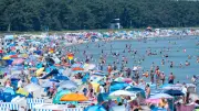Berliner stirbt nach Ostsee-Bad: Vibrionen-Infektionen nehmen zu