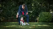 Beziehung statt Befehl: Warum Ihr Hund Sie ignoriert