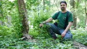 Bibermanager in Berlin-Mitte: Erfolg ist, wenn kein Baum angenagt ist