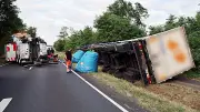 Bienenstich verursacht Lkw-Unfall: 40-Tonner kippt um in Alzenau