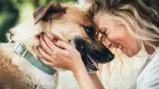Bindungs-Check: Liebt mich mein Hund? KI-Test zeigt die Wahrheit