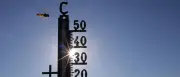 Bis zu 38 Grad: Hitze und Gewitter in Berlin und Brandenburg