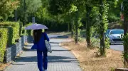 Bis zu 39 Grad: Neue Hitzewelle mit Tropennächten und Gewittern