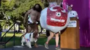 Bizarre Hunde-Show in Kalifornien: Cosplay-Trend erreicht Vierbeiner