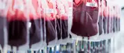 Blutspenden: DRK warnt vor Engpässen und ruft zum Spenden auf