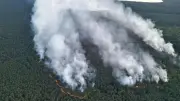 Brand im Müritz-Nationalpark außer Kontrolle: 269 Hektar in Flammen