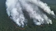 Brand im Müritz-Nationalpark breitet sich aus: Explosionen auf Munitionsgelände
