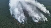 Brand im Müritz-Nationalpark: Kanuvermieter kämpft mit Rückhol-Problemen