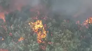 Brand im Müritz-Nationalpark: Munition im Boden erschwert Löscharbeiten