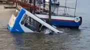 Bus stürzt in Fluss in Brasilien: Alle Insassen entkommen knapp