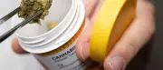 Cannabis-Teil-Legalisierung: Mehr Krankenhausfälle durch Vergiftungen und Psychosen