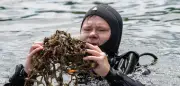 Carsten Schneider taucht vor Rügen: Ostsee-Verschmutzung im Fokus