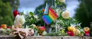CSD-Anschlag in Berlin: AfD könnte vom Wahlkampf profitieren