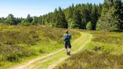 Das sind Deutschlands schönste Wanderwege 2026: Druidensteig und Wildes-Wasser-Weg gewinnen