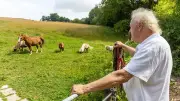 Debatte um Wolfsrisse und Abschusspläne in Greifenstein eskaliert