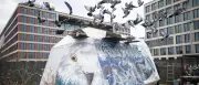 Deutsche Bahn schließt Taubenhaus am Südkreuz: Tierschützer warnen
