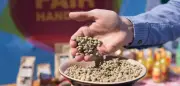 Deutsche geben weniger für faire Produkte aus als Nachbarn