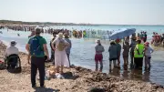 Deutscher Tourist (60) stirbt während Großdemo am Traumstrand Es Trenc auf Mallorca