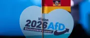 DIW-Studie: AfD-Politik würde Sachsen-Anhalt wirtschaftlich hart treffen