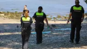 DLRG meldet 99 Badetote im Juni – trauriger Rekord seit 2003