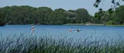 DLRG warnt: Drei Badetote im Juni in Brandenburg – Männer besonders gefährdet