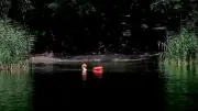 Drei Retter ziehen Schwimmerin in Not aus See bei Freiburg