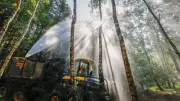 Drohen in NRW verheerende Waldbrände wie in Spanien?