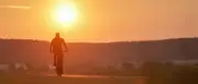 DWD korrigiert Hitzerekord: 41,8 Grad in Möckern-Drewitz gemessen