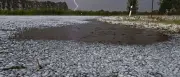 DWD warnt: Schwere Gewitter mit Starkregen drohen in Deutschland