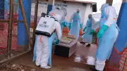Ebola-Epidemie im Kongo: Fallzahlen verdoppeln sich alle 20 Tage