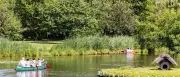 Eichenprozessionsspinner: Erste Wasserroute im Spreewald wieder frei