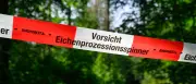 Eichenprozessionsspinner: Spreewald-Gewässer teilweise gesperrt – Umweltministerin vor Ort