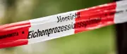 Eichenprozessionsspinner: Strandbad Jungfernheide scheitert vor Gericht