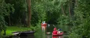 Eichenprozessionsspinner: Viele Gewässer im Unterspreewald gesperrt