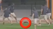 Eichhörnchen rennt bei MLB-Spiel über Feld – Lacher im Stadion