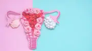 Eierstöcke nach Menopause: Forscher entdecken überraschende neue Rolle